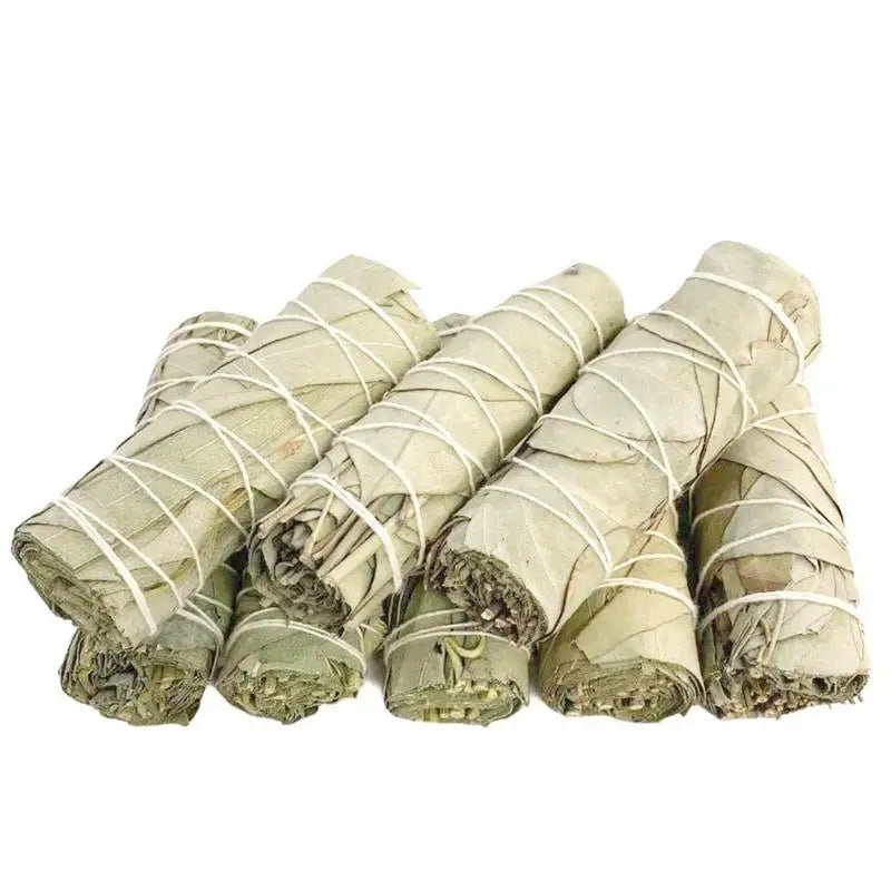 Dried Eucalyptus Smudge Sticks