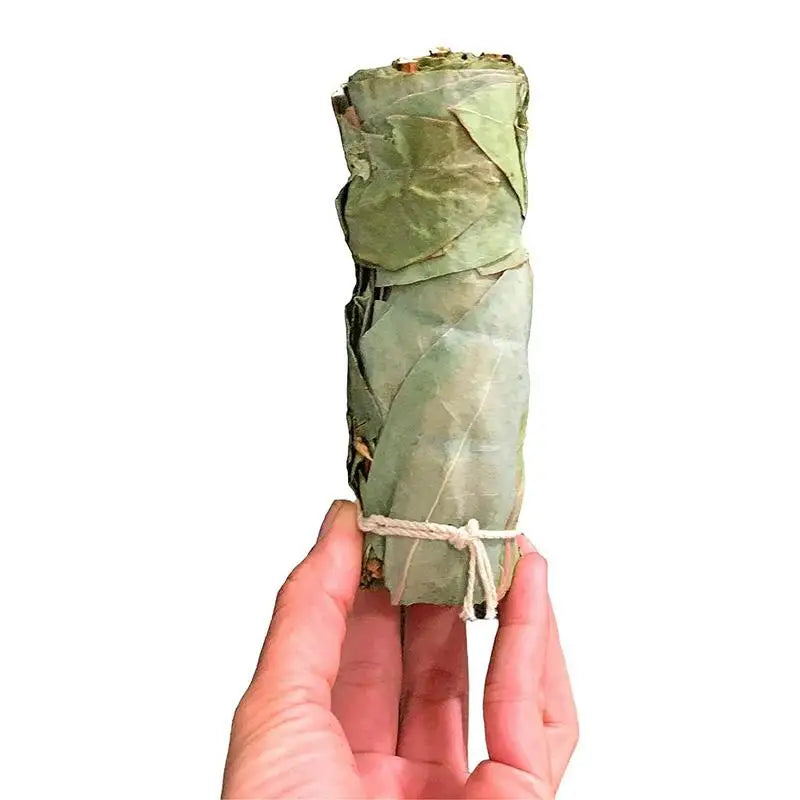 Dried Eucalyptus Smudge Sticks